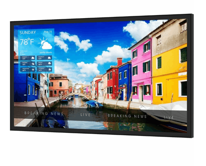 Where to buy Peerless XHB5541 outdoor screen in Colombia | 55